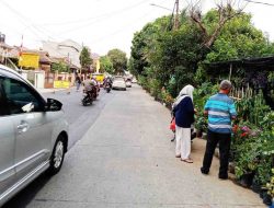 Para Pedagang Tanaman Hias di Jalan Salak Minta Perhatian Pemkot Depok