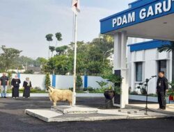 Perumda Air Minum Tirta Intan Kabupaten Garut “ Hari Raya Idul Adha 2025” Memberikan Bantuan Hewan Qurban